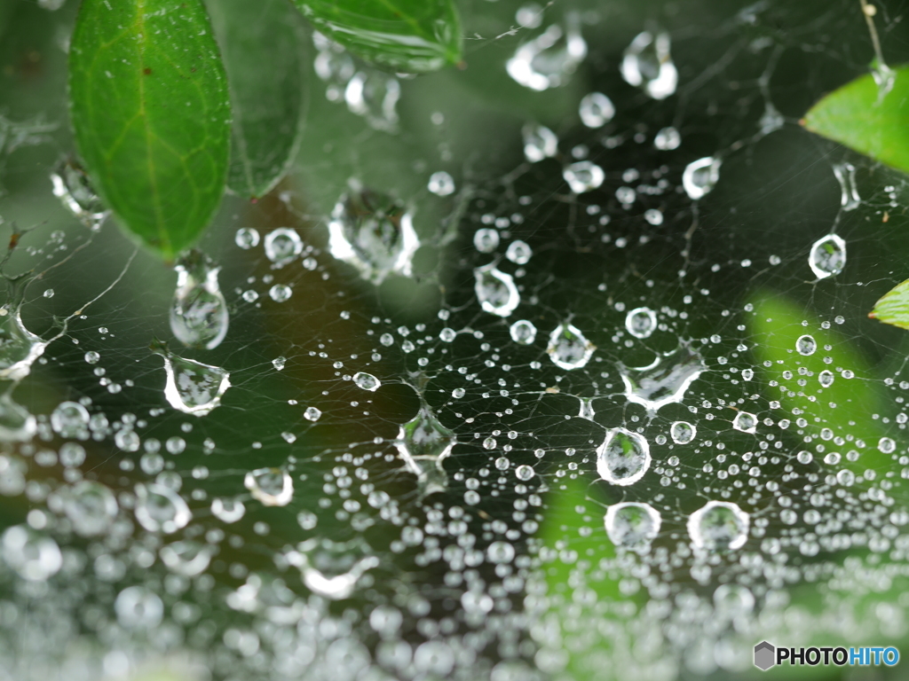 raindrop