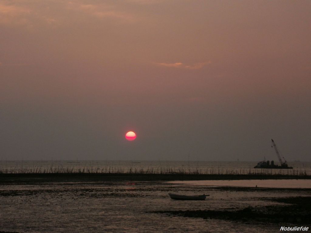 朝の有明海