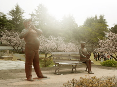 公園の春