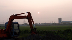 7月の朝