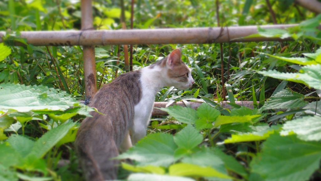 探索