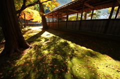 天祐寺