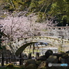 眼鏡橋と大寒桜