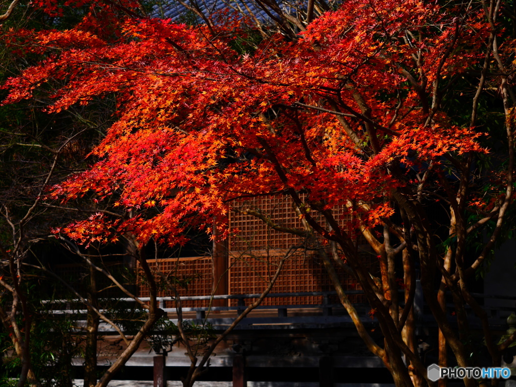 安勝寺