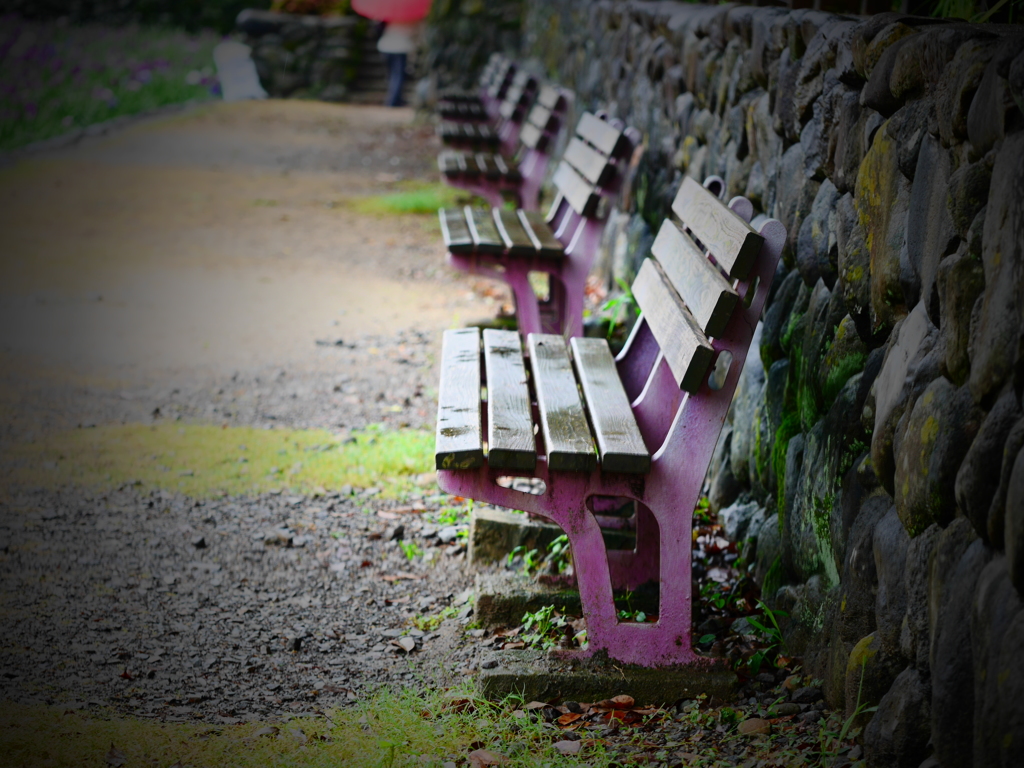 bench