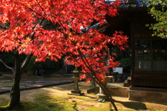 天祐寺の紅葉