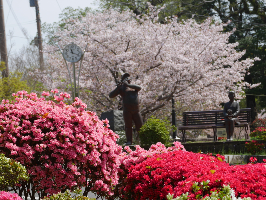 躑躅と桜