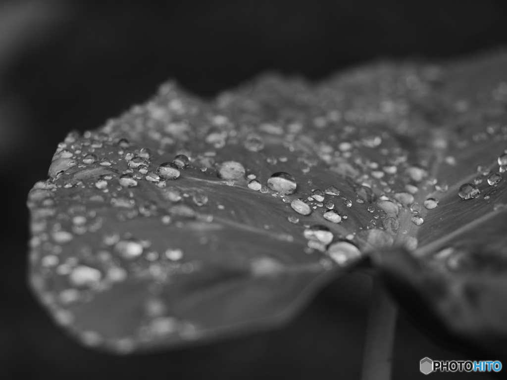 雫