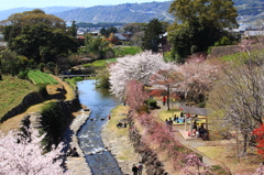 橘公園