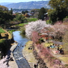 橘公園