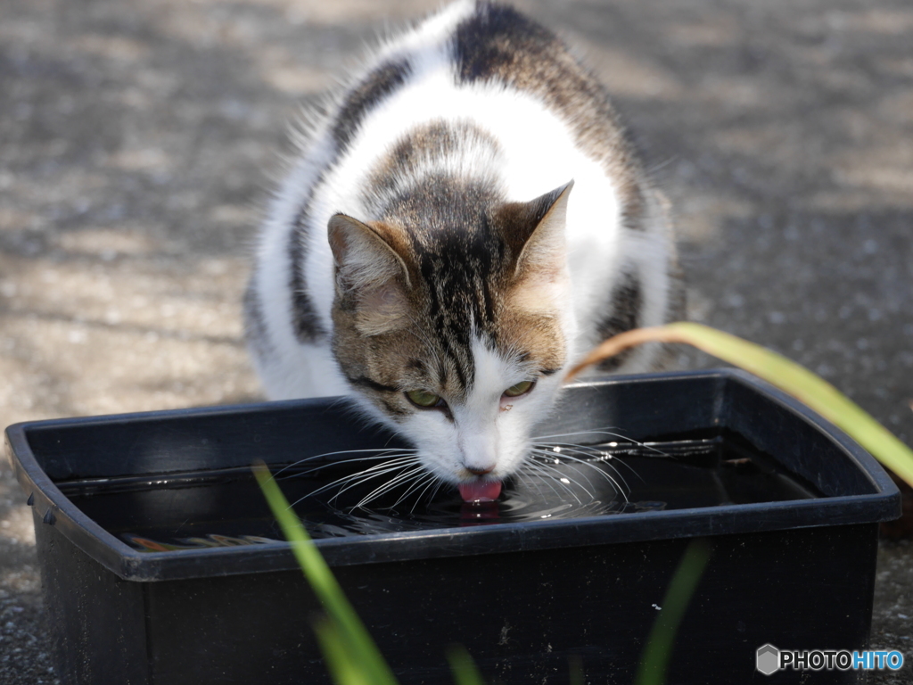 補水