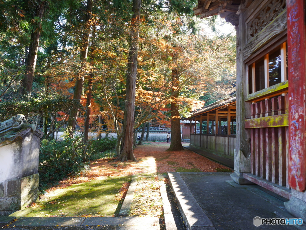 師走の天祐寺