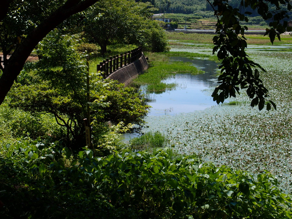 宗方公園