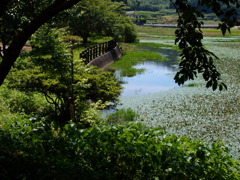宗方公園