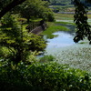 宗方公園