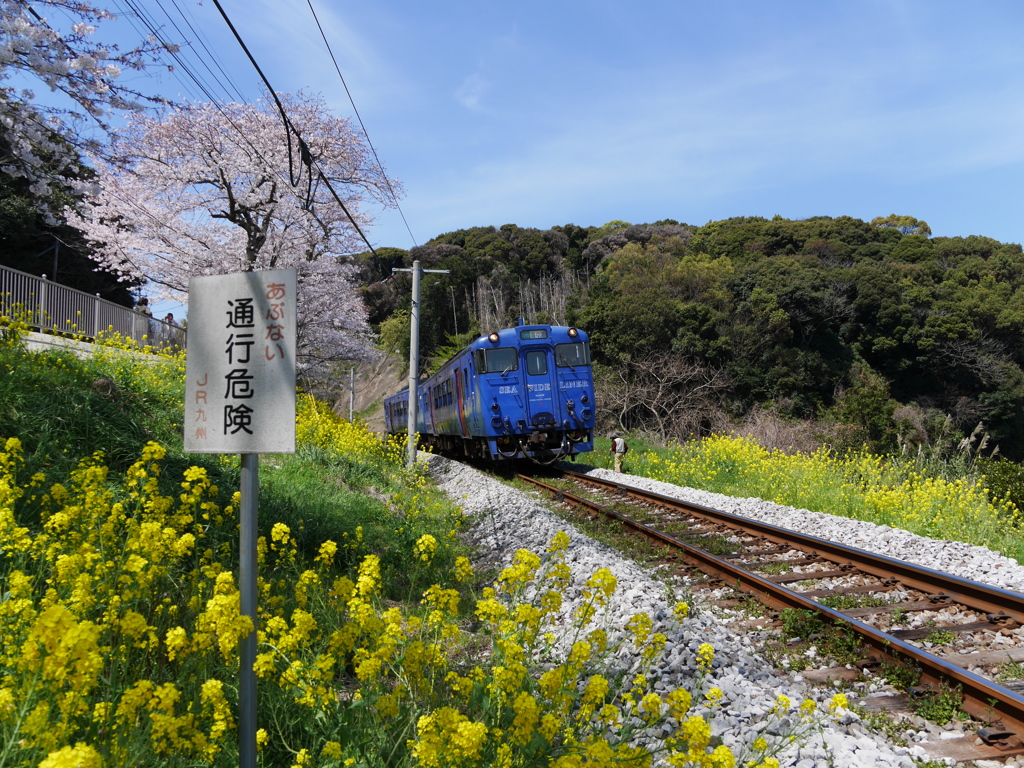 春の大草経由