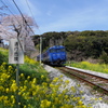 春の大草経由