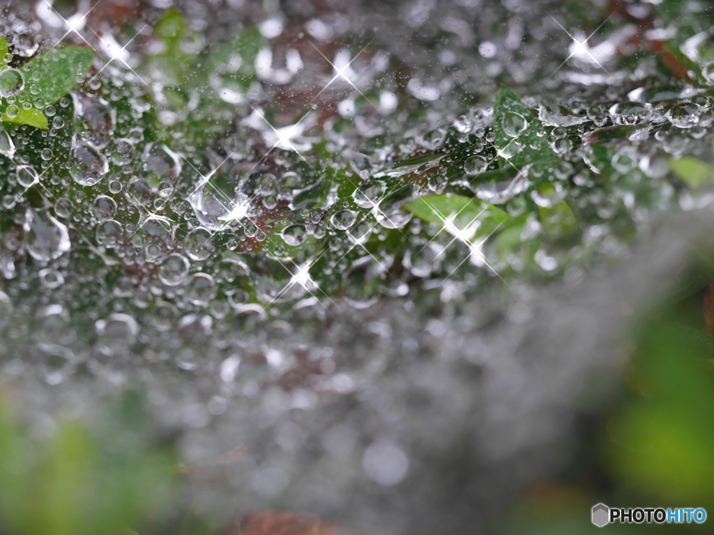 梅雨