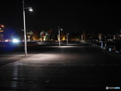 夜の埠頭