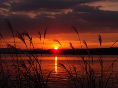 有明海の夕陽