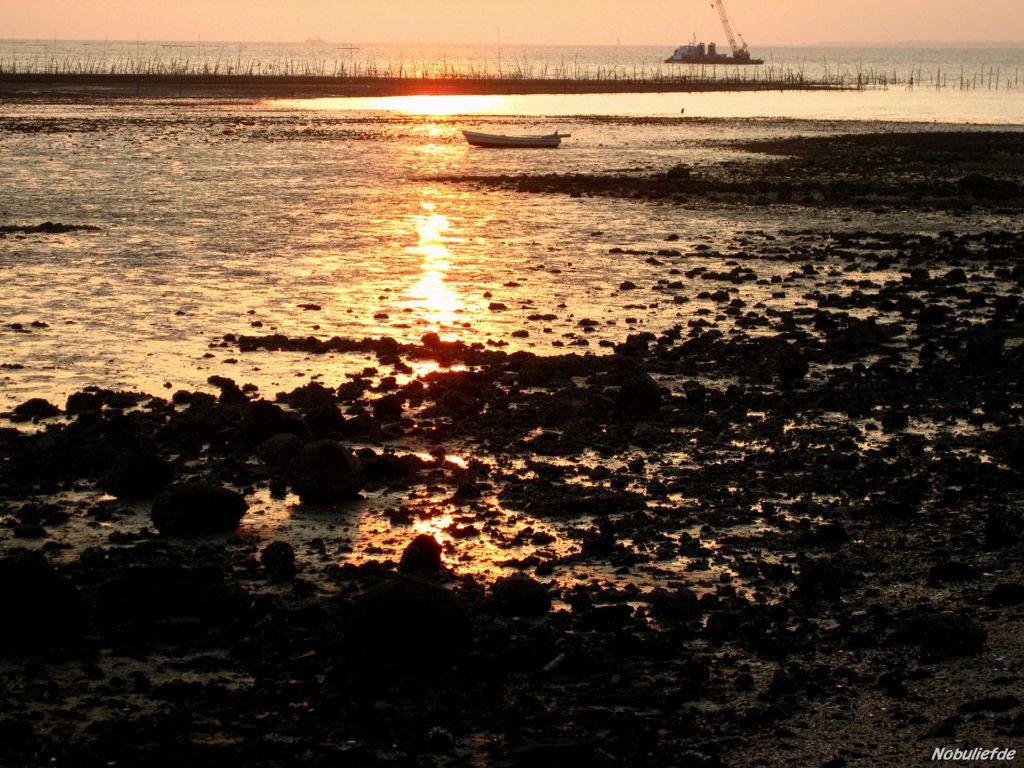 有明海の光跡