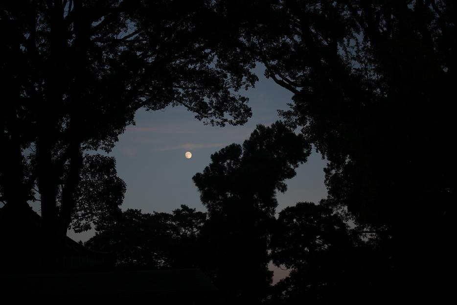 夕暮れの満月