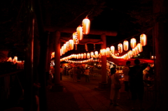 DSC04537