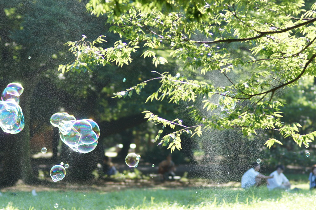 はじけたしゃぼん玉