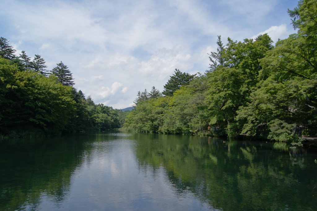 小さな池の遠近法