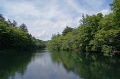 小さな池の遠近法