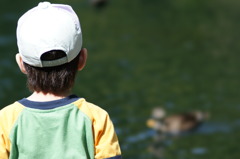 なんか鳥はっけん