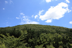 青いなぁ