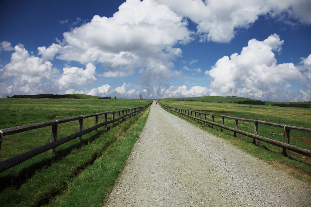 遥かなる道