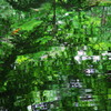 mosaic～風に揺れる森
