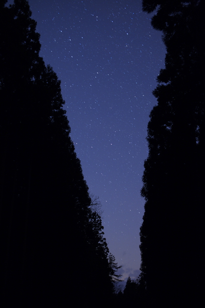星降る夜