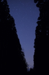 星降る夜