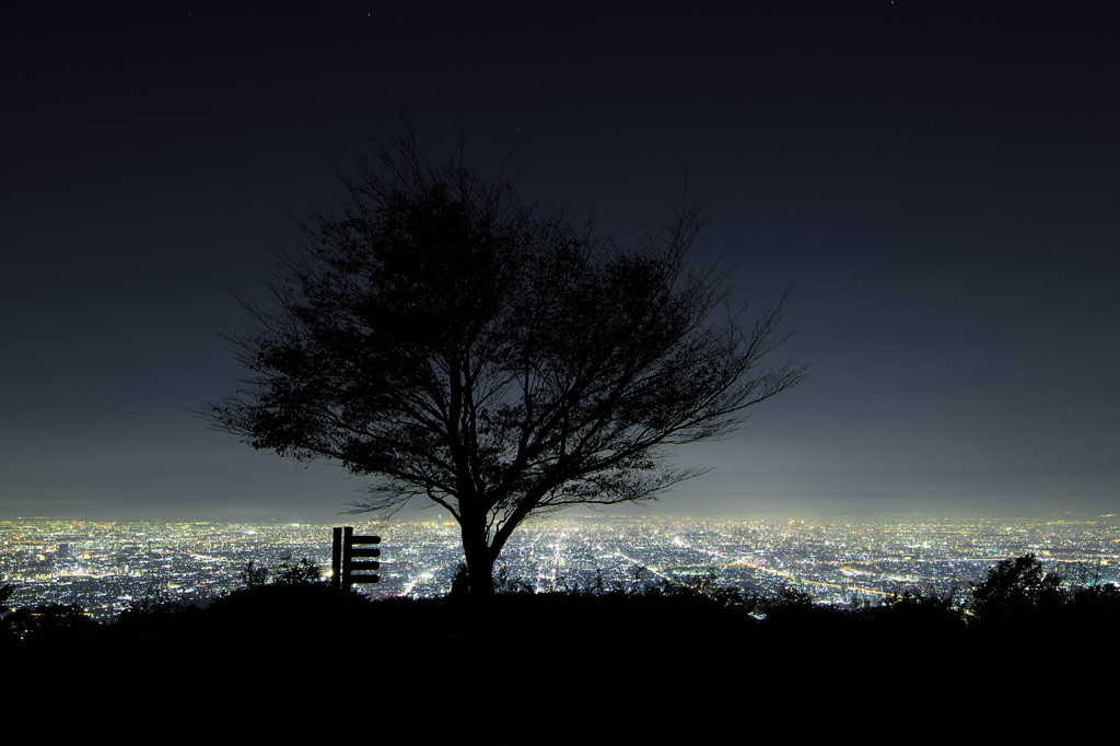 大坂夜景～光の海