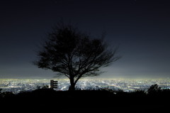 大坂夜景～光の海