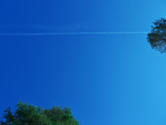 飛行機雲