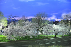 何気ない夕暮れに