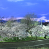 何気ない夕暮れに
