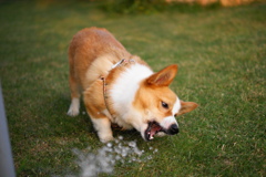 お水ちょうだい♪