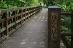 ぼたん園　橋