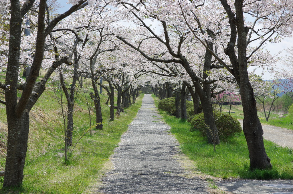 瀬峰・五輪堂山公園