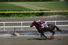 水沢競馬場