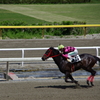 水沢競馬場