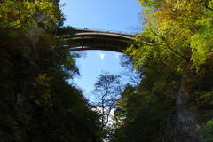 鳴子峡の底から見上げる大深沢橋