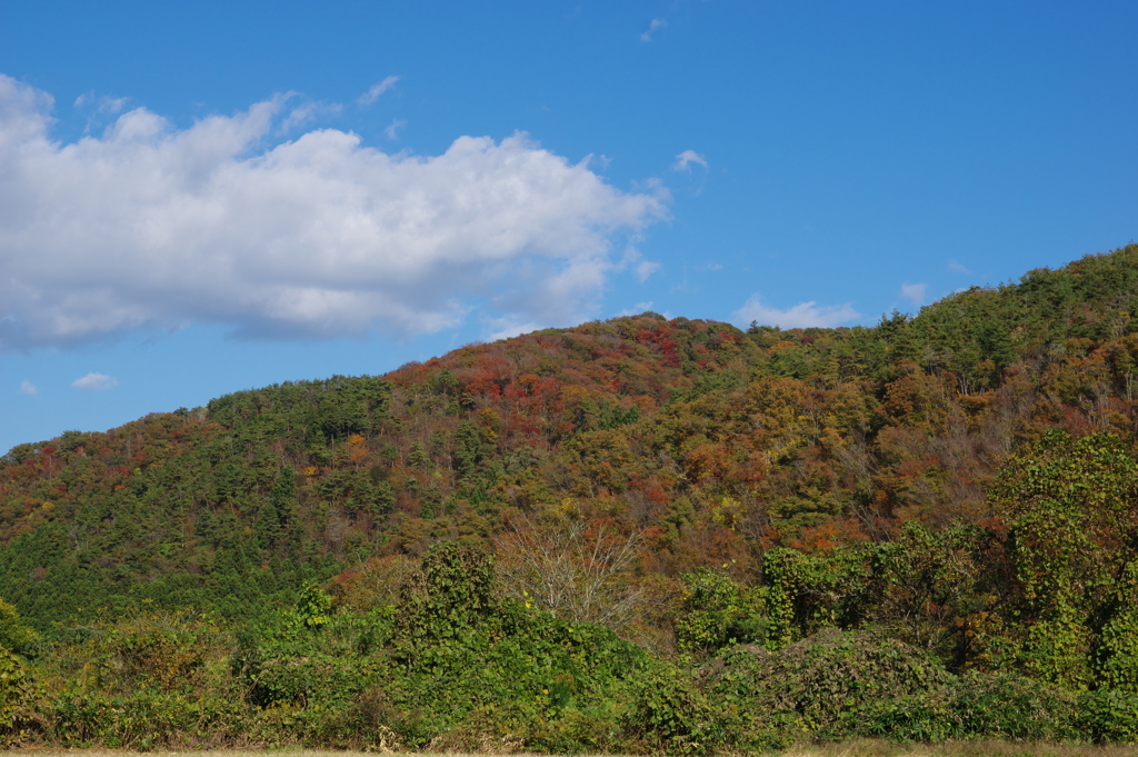 北上川河岸の山々