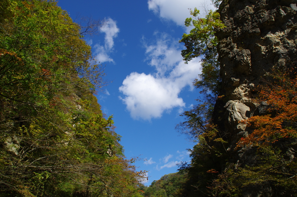 紅葉のピークには・・・