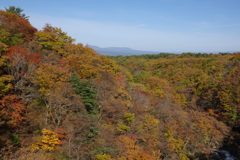 森の大橋